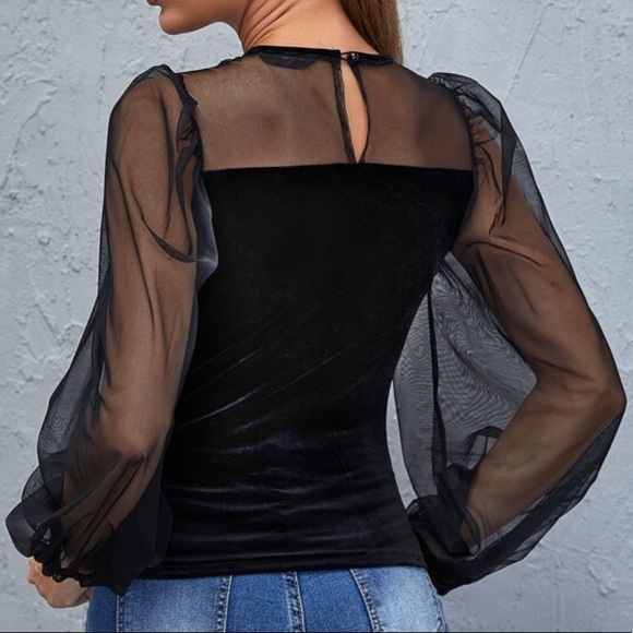 Velvet Sheer Mesh Sleeve Black Top Shirt Blouse - Picture 2 of 5